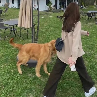 我要抢走你的恋人。